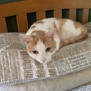 Meet your Posher, Cindy